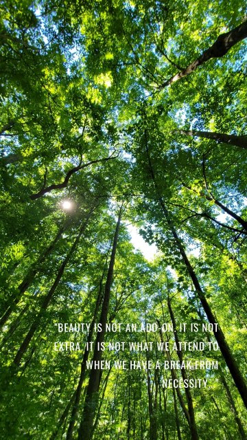 "Beauty is not an add-on. It is not extra. It is not what we attend to when we have a break from necessity..."